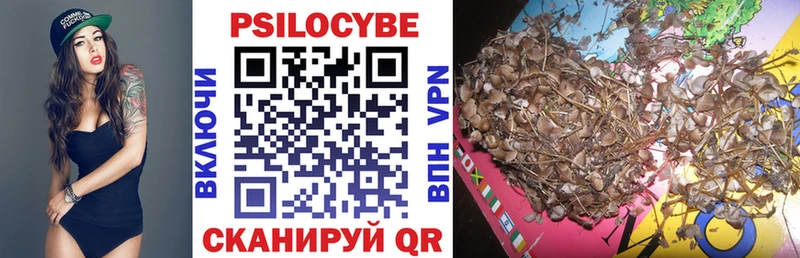 Псилоцибиновые грибы Psilocybe  Купить закладки  Купино 