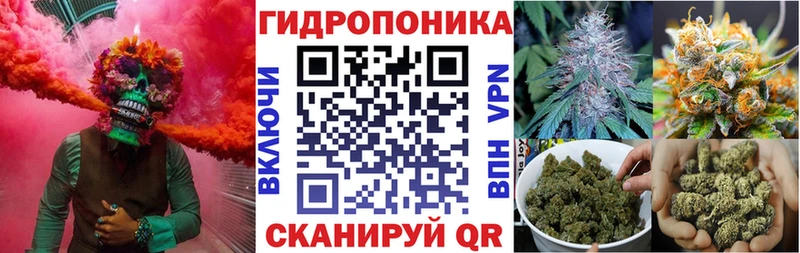Конопля White Widow Купино